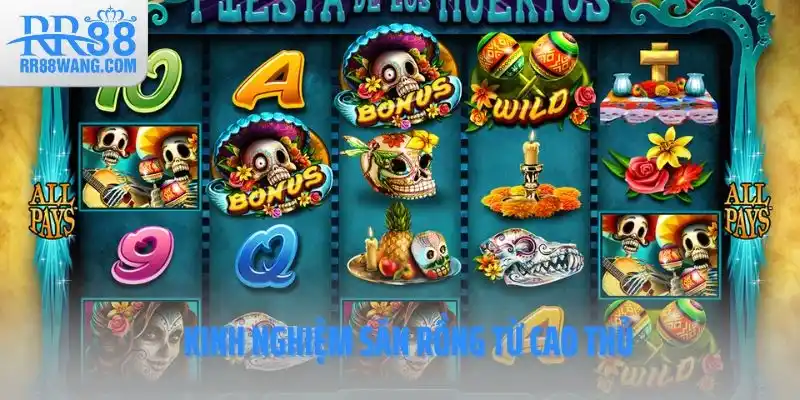 Kinh nghiệm săn rồng từ cao thủ Kinh nghiệm săn rồng từ cao thủ