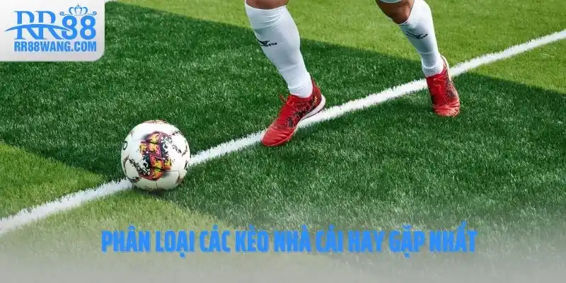 Phân loại các kèo nhà cái hay gặp nhất Phân loại các kèo nhà cái hay gặp nhất