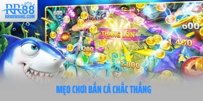Mẹo chơi bắn cá chắc thắng Mẹo chơi bắn cá chắc thắng