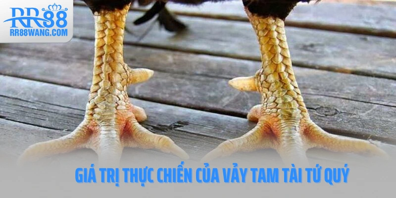 Giá trị thực chiến của vảy Tam Tài Tứ Quý Giá trị thực chiến của vảy Tam Tài Tứ Quý