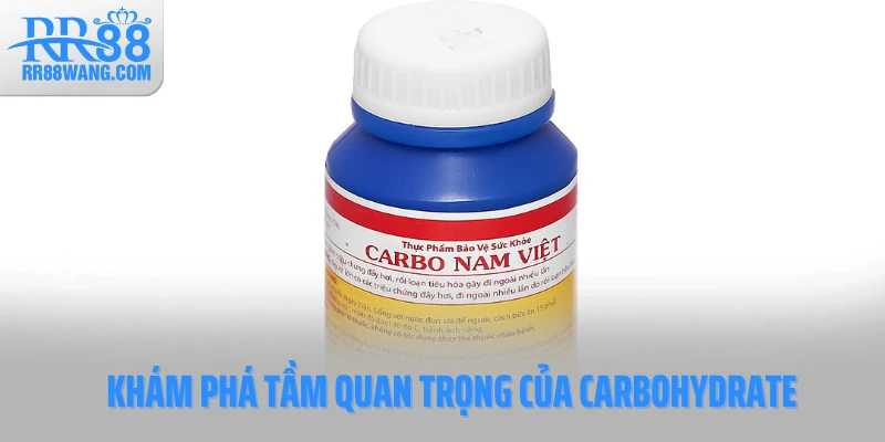 Khám phá tầm quan trọng của carbohydrate Khám phá tầm quan trọng của carbohydrate