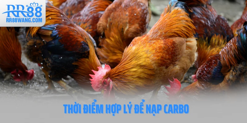 Thời điểm hợp lý để nạp carbo Thời điểm hợp lý để nạp carbo