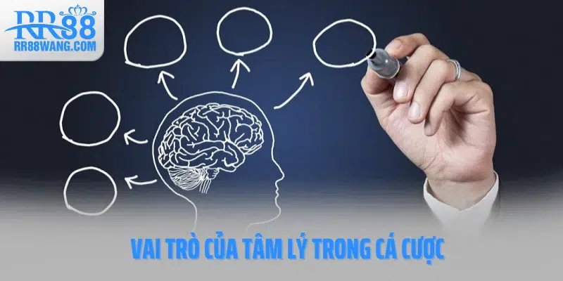 Vai trò của tâm lý trong cá cược Vai trò của tâm lý trong cá cược